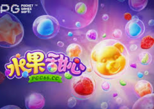 赏金国际vip登录入口免费版