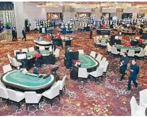 赏金国际vip登录入口电脑免费版